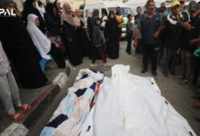 3 مجازر و32 شهيدًا بعدوان الاحتلال على غزة في 24 ساعة أعلنت وزارة الصحة أن الاحتلال الإسرائيلي ارتكب 3 مجازر ضد العائلات في قطاع غزة وصل جراءها للمستشفيات 32 شهيدا و41 إصابة خلال ال 24 ساعة الماضية. وأكدت الوزارة -في تحديثها اليومي- ارتفاع حصيلة العدوان الإسرائيلي إلى 34654 شهيدًا و77908 إصابة منذ السابع من أكتوبر الماضي.