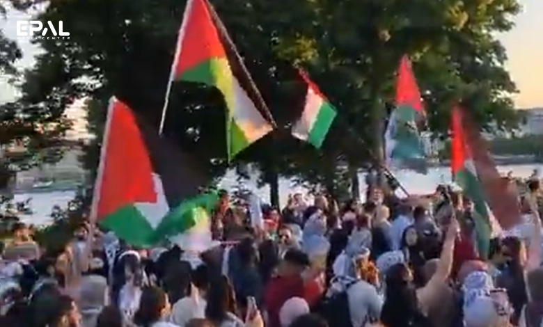 Pro-Gaza march in Hamburg, Germany