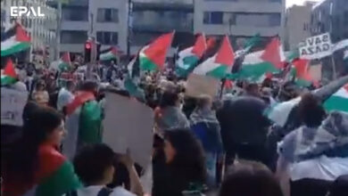 وقفة احتجاجية مؤيدة لغزة في بروكسل ببلجيكا