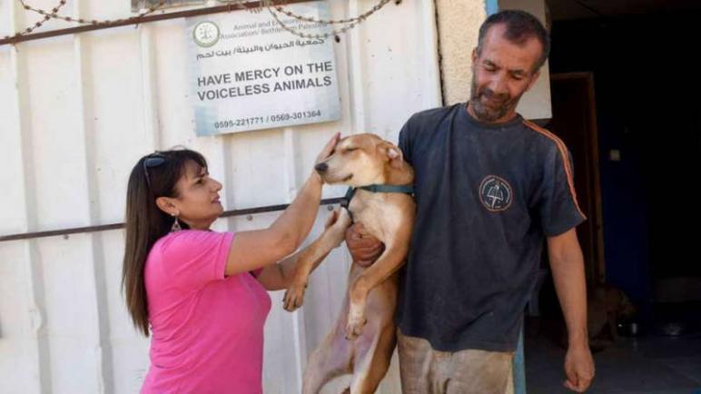 الايطالية ديانا بابيش – تركت وظيفتها الأمنة في البنك لترعى الكلاب في غزة