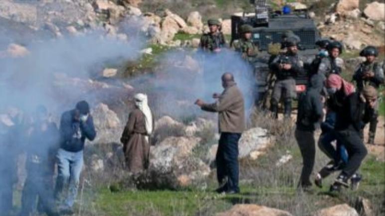فلسطين تدين الإرهاب المنظم من قبل المستوطنين الإسرائيليين