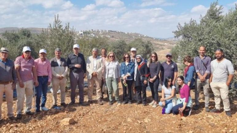 رؤساء البعثات الدبلوماسية من عدة دول أوروبية يشاركون المزارعين الفلسطينيين في حصاد الزيتون